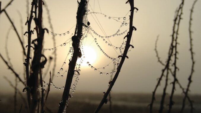 uploaded-image-web-kataloglari-ve-yemek-ve-icecek-1697894125255